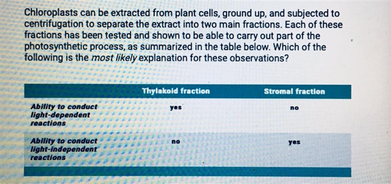 HELP! Now!!! A. The separation of functions ensures that photosynthesis can continue-example-1