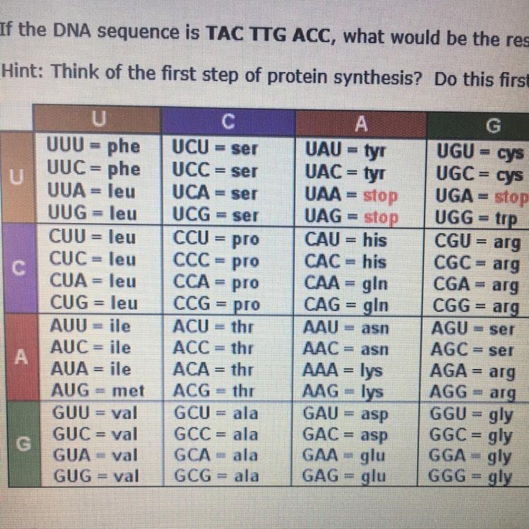 If the DNA sequence is TAC TTG ACC, what would be the resulting amino acid sequence-example-1