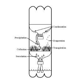 The water in the bottom of this bottle best represents - rainfall condensation rivers-example-1