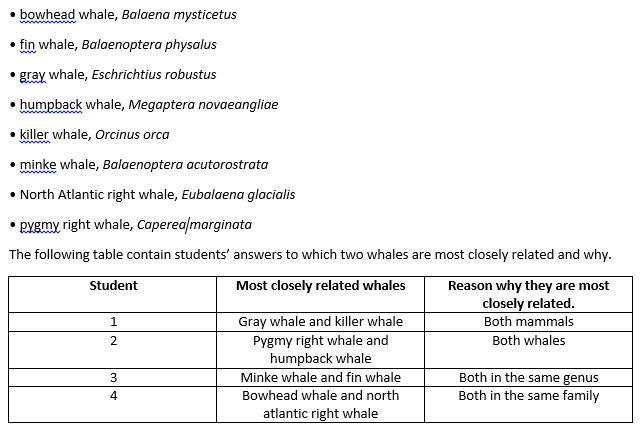 Students researched the following eight whales and how they were classified (see list-example-1