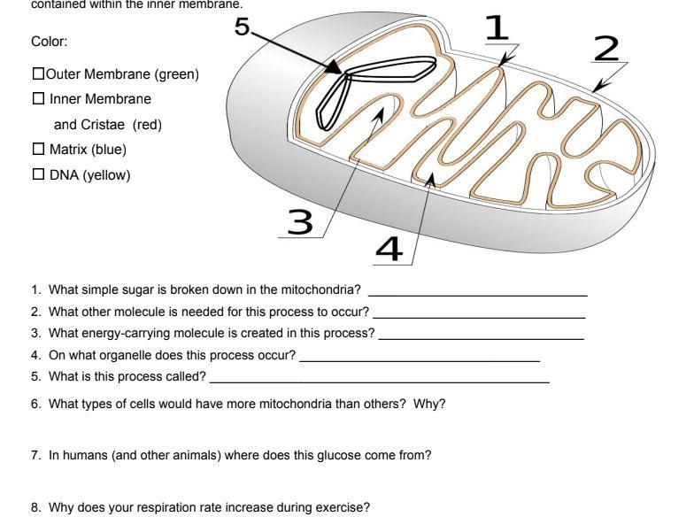 Can someone please answer 1-8, please?-example-1