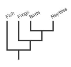 Please help!! Mason drew the cladogram shown. Which statements best describe the cladogram-example-1