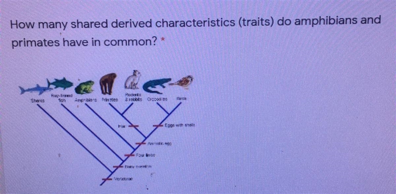 Please help me with the question in the photo. The possible answers are: A) 2 B) 3 C-example-1