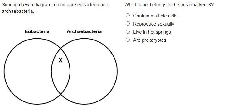 PLEASE HURRY I ONLY HAVE 1 MINUTE LEFT Which label belongs in the area marked X?-example-1