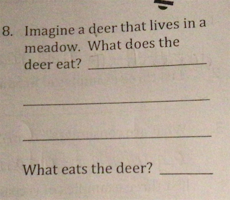 Help Please! Imagine a deer that lives in the meadow. What does the deer eat? What-example-1