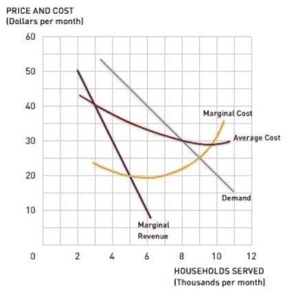 If the price chosen by the City Commission is the price required for efficient allocation-example-1