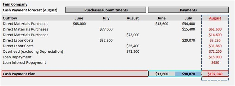 Cash Payments Schedule Fein Company provided the following information relating to-example-1