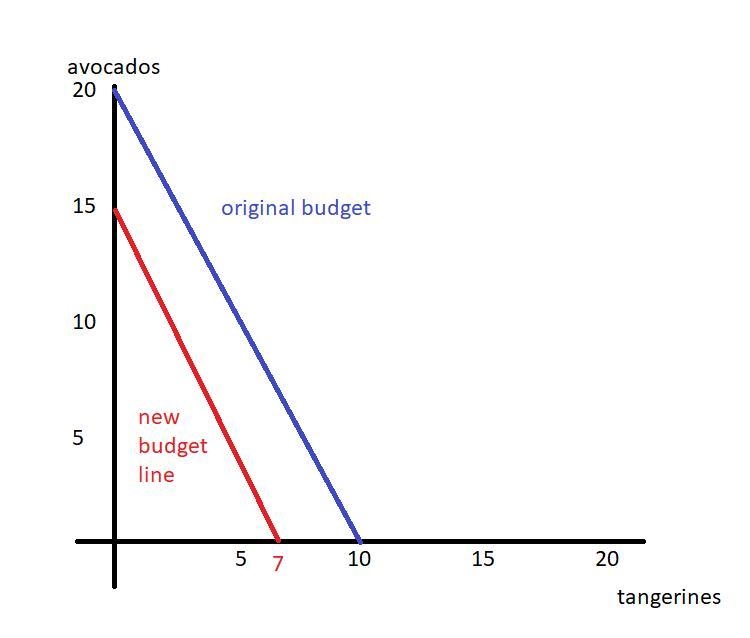 Consider a budget line drawn with avocados on the vertical axis and tangerines on-example-1