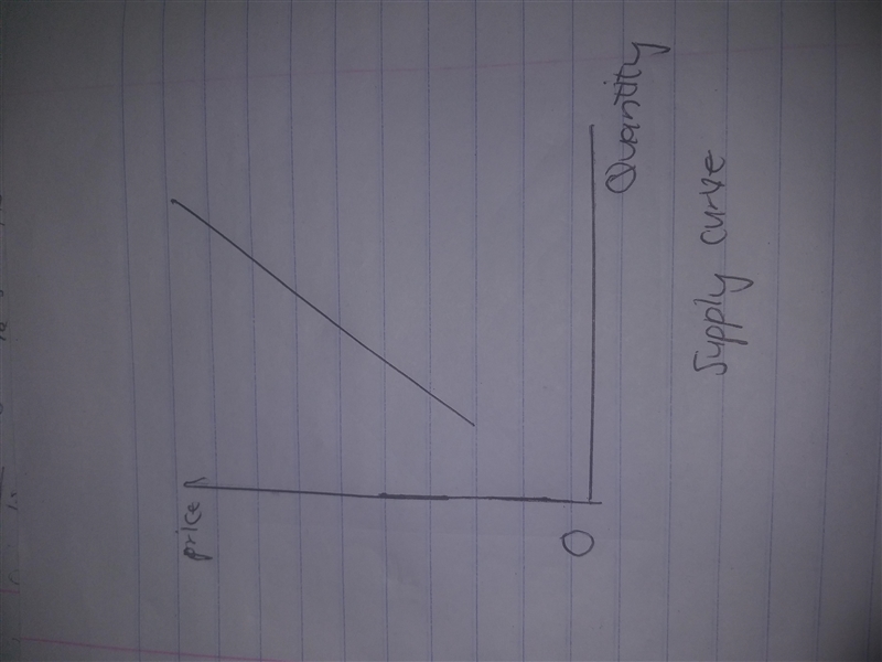 true or false: a supply curve describes how much a producer of services are willing-example-1