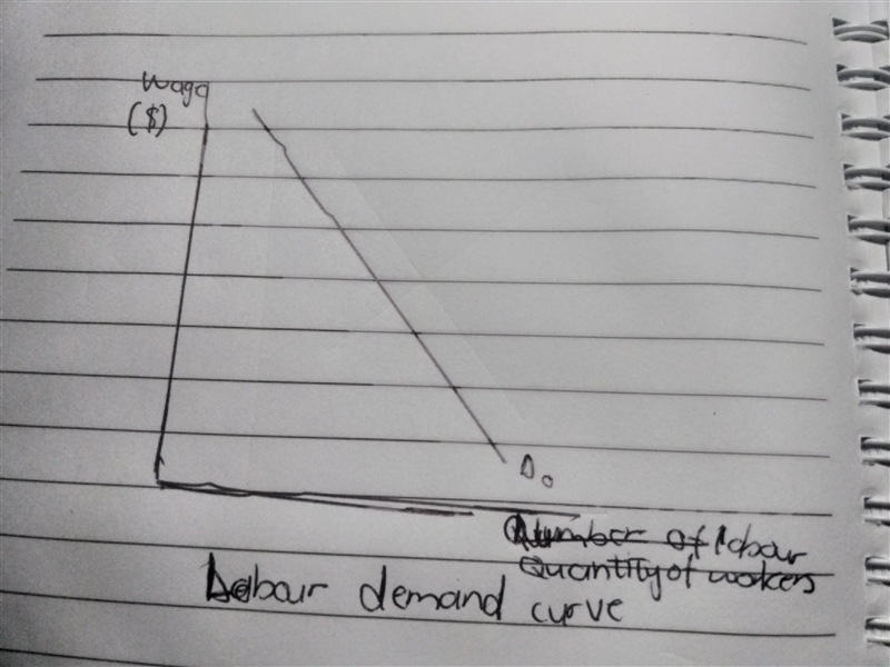 A firm's labor demand curve is typically Group of answer choices downward sloping-example-1