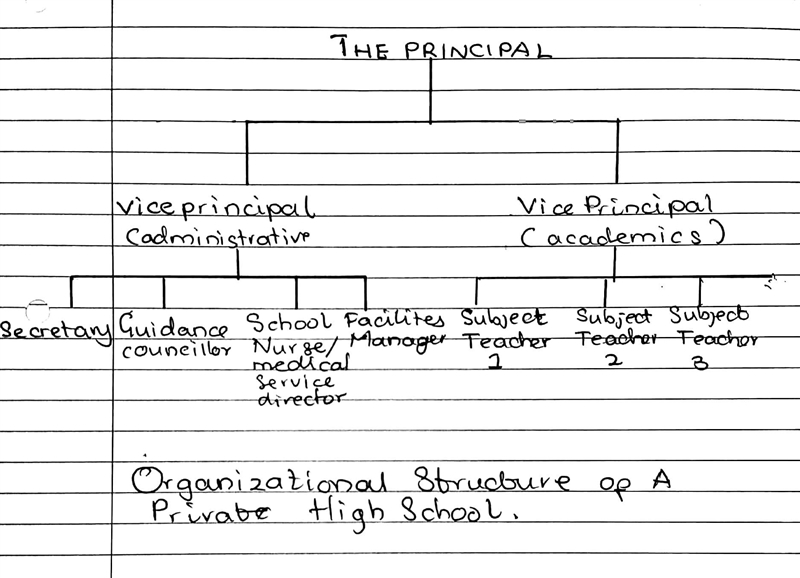 Chart an organization with which you are familiar that has at least three organizational-example-1