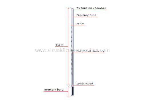 List parts of a thermometer-example-1