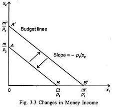 The quantity of good Y is measured along the vertical axis, and the quantity of good-example-1