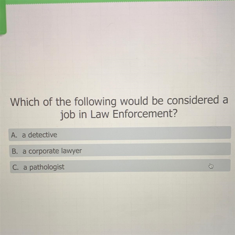 Which of the following would be considered a job in Law Enforcement? A. a detective-example-1