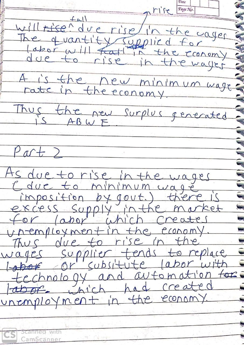 The national minimum wage is $7.25 per hour for most occupations in the private sector-example-2