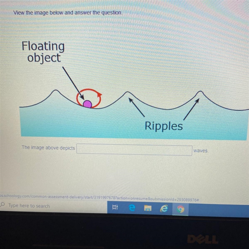 What type of wave is it ?-example-1