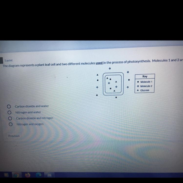 The diagram represents a plant leaf cell and two different molecules used in the process-example-1