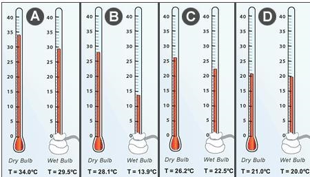 PLEASE HELP - TIMED!!! Which of the following situations most likely indicates the-example-1