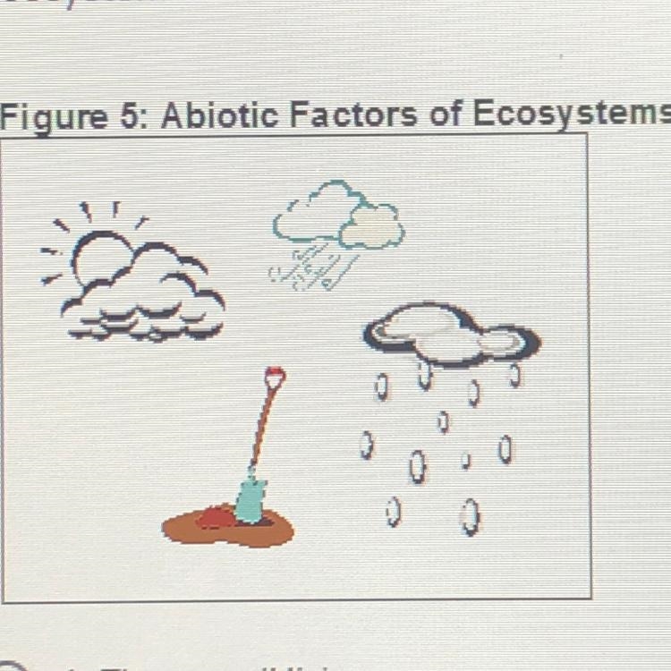 Figure 5 below shows four abiotic factors of an ecosystem. Choose the statement that-example-1