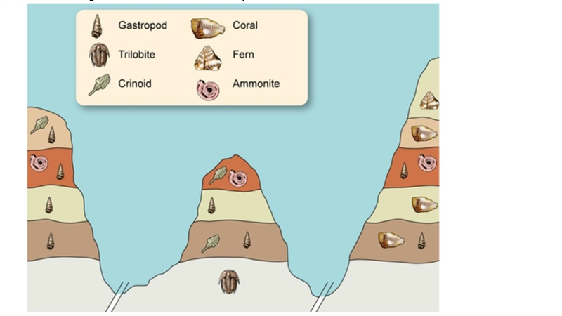 Use the diagram below to answer the question. Which of the following would be considered-example-1