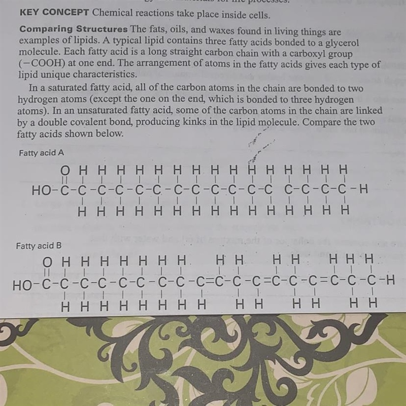 Which fatty acid shown above (A or B) is a saturated fatty acid? How do you know?-example-1