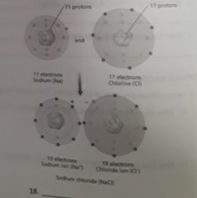 Identify each type of bond:-example-1