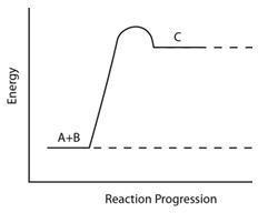 Consider the reaction pathway graph below. Which statement accurately describes this-example-1