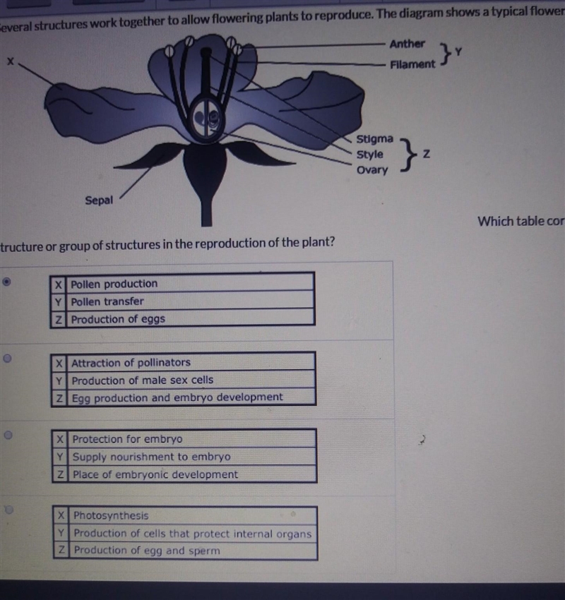 structure or group of structures in the reproduction of the plants ? PLEASE LOOK AT-example-1