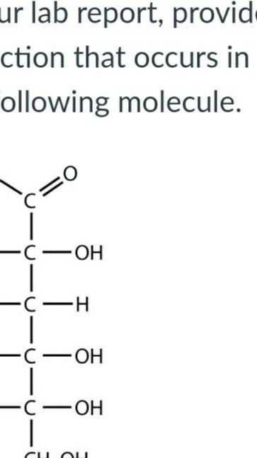 Based on your lab report, provide the chemical reaction that occurs in Benedict's-example-1