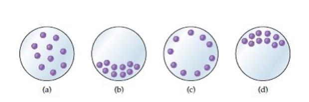 Argon gas has a boiling point of -197 °C. Which of the following diagrams best represents-example-1