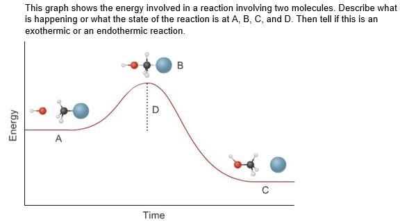 Help on chem! Will give 30pts!-example-1