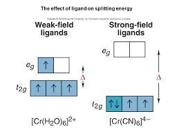 For the following give (1) oxidation # of metal, (2) number of d electrons, draw valence-example-1