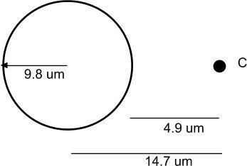 The surface of a solid sphere is covered by a monolayer of receptors for a ligand-example-1