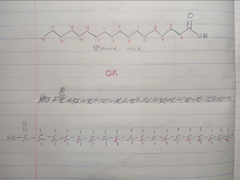 Draw stearic acid (octadecanoic acid). You do not need to draw hydrogen atoms attached-example-1