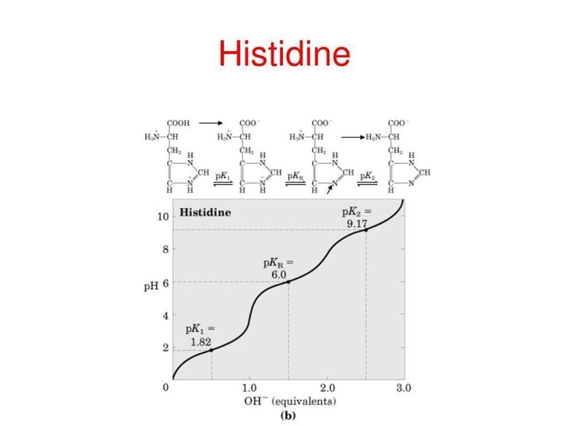 . The pI is called ________________. The rule of calculating pI of an amino acid is-example-3