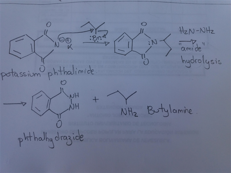 Three of the following amines can be prepared by the Gabriel synthesis; three cannot-example-1