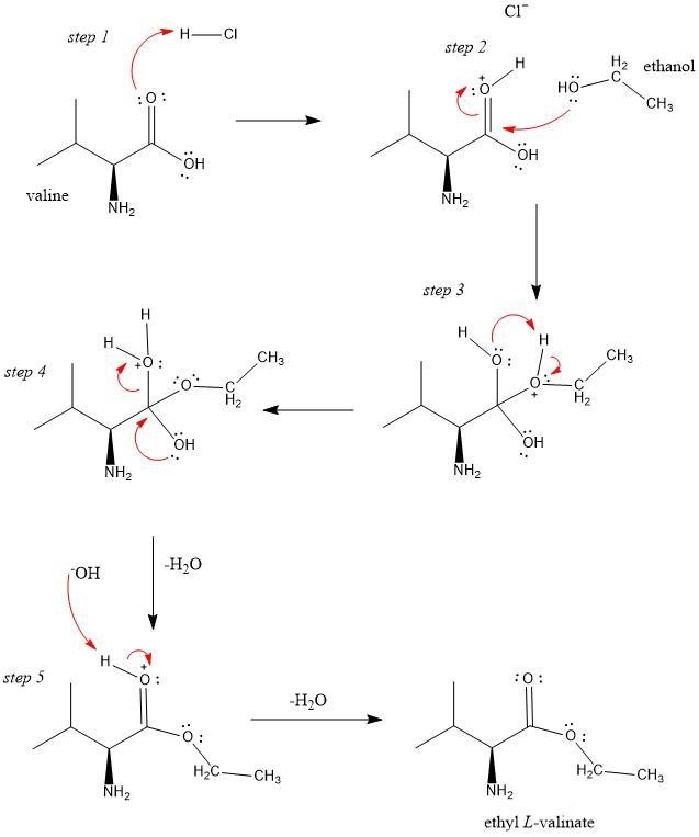 Draw the product that valine forms when it reacts with excess CH3CH2OH and HCl followed-example-1