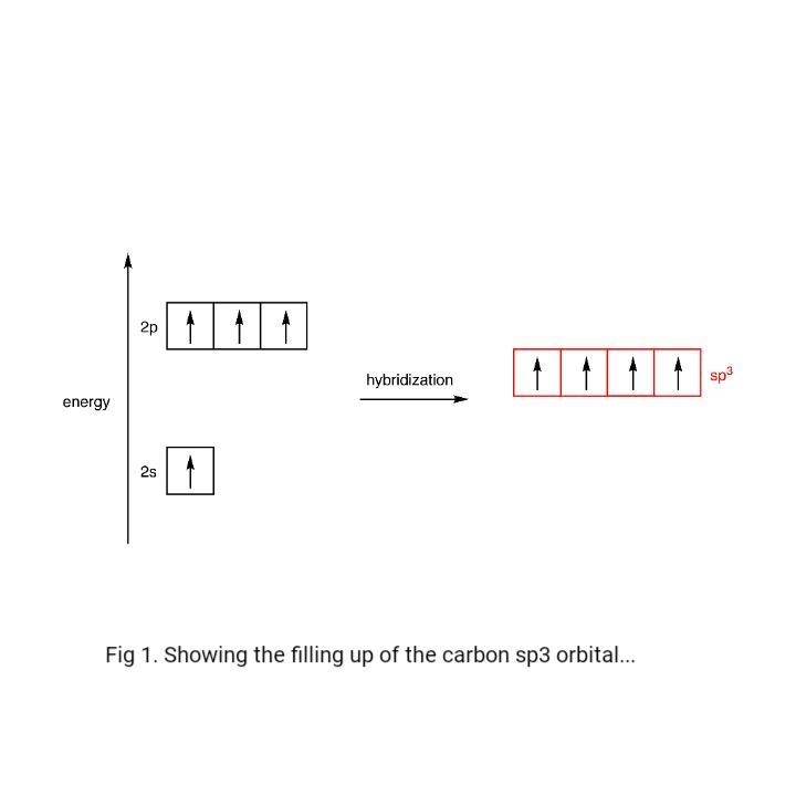 Give the hybridization of each carbon in the molecule below.-example-2