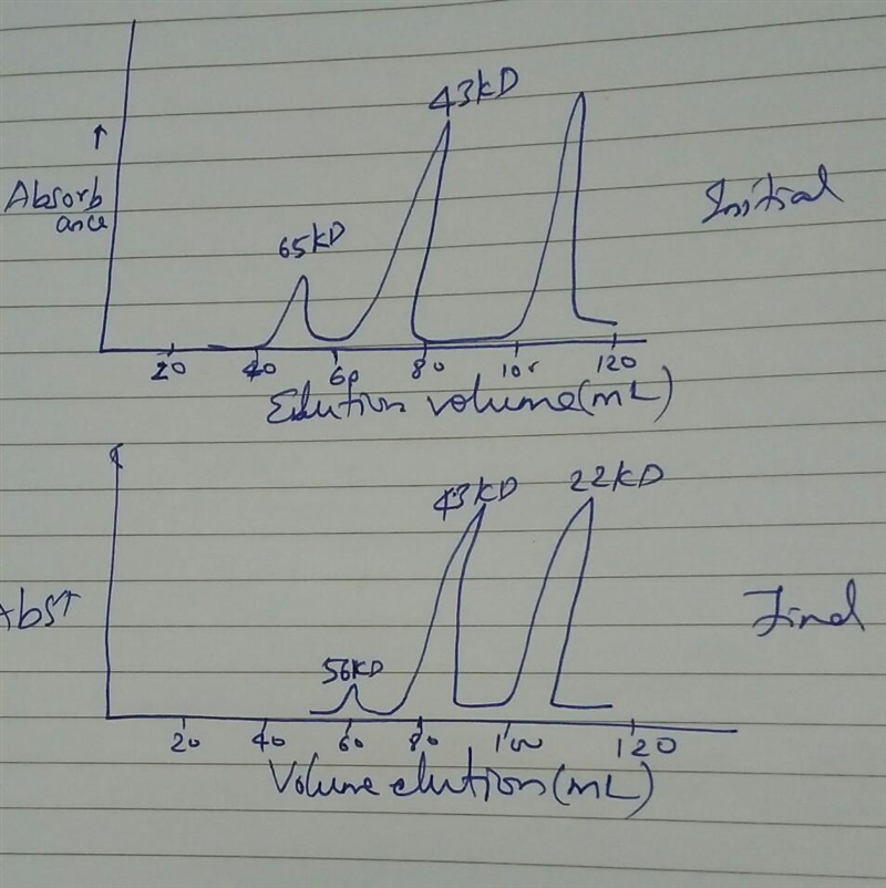 An interesting enzyme, whose molecular weight is 56,000 g/mol, is used in catalytic-example-2