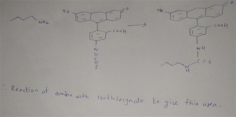 Isocyanates are good electrophiles that have been used for protein modification. However-example-1