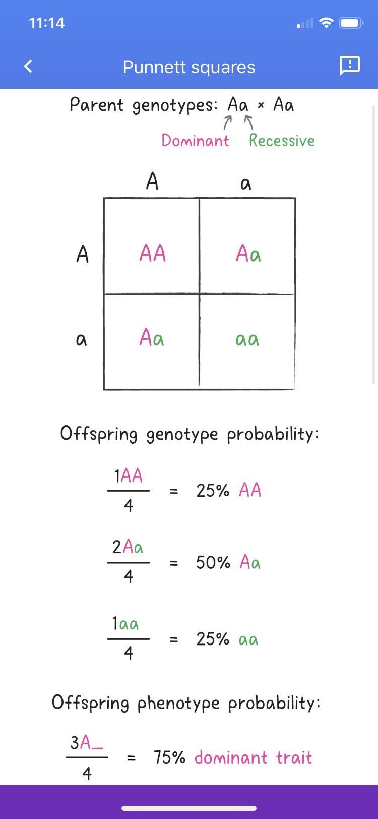 How do you do a punnett square.-example-1