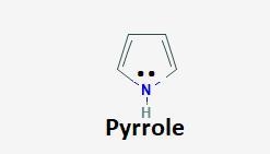 The Lewis structures of both pyridine and pyrrole have an electron pair on the nitrogen-example-1