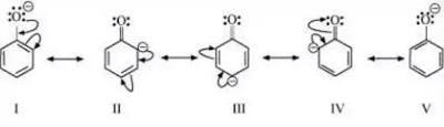 Draw the resonance structures for the conjugate base of Phenol (C6H6O). In one sentence-example-1