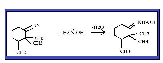 What will be formed when 2,2,3-trimethylcyclohexanone reacts with hydroxylamine?-example-2