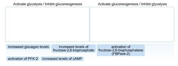 Fructose‑2,6‑bisphosphate is a regulator of both glycolysis and gluconeogenesis for-example-1