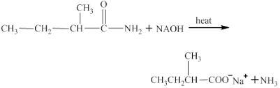 2-methyl-butanamide hydrolysis with NaOH-example-1