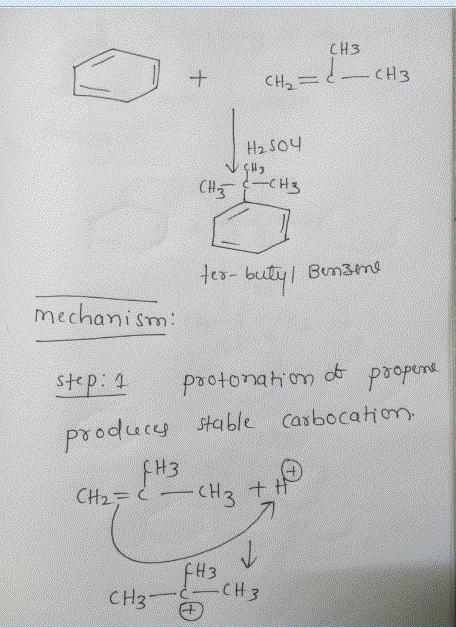 Practice Problem 18.48 When benzene is treated with 2-methylpropene and sulfuric acid-example-1