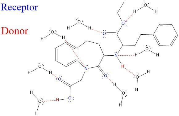 Hydrogen Bonding with Water - Your Drug Lotensin Directions: Show the structure of-example-1