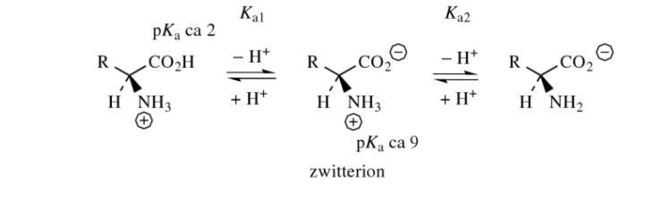 . The pI is called ________________. The rule of calculating pI of an amino acid is-example-2