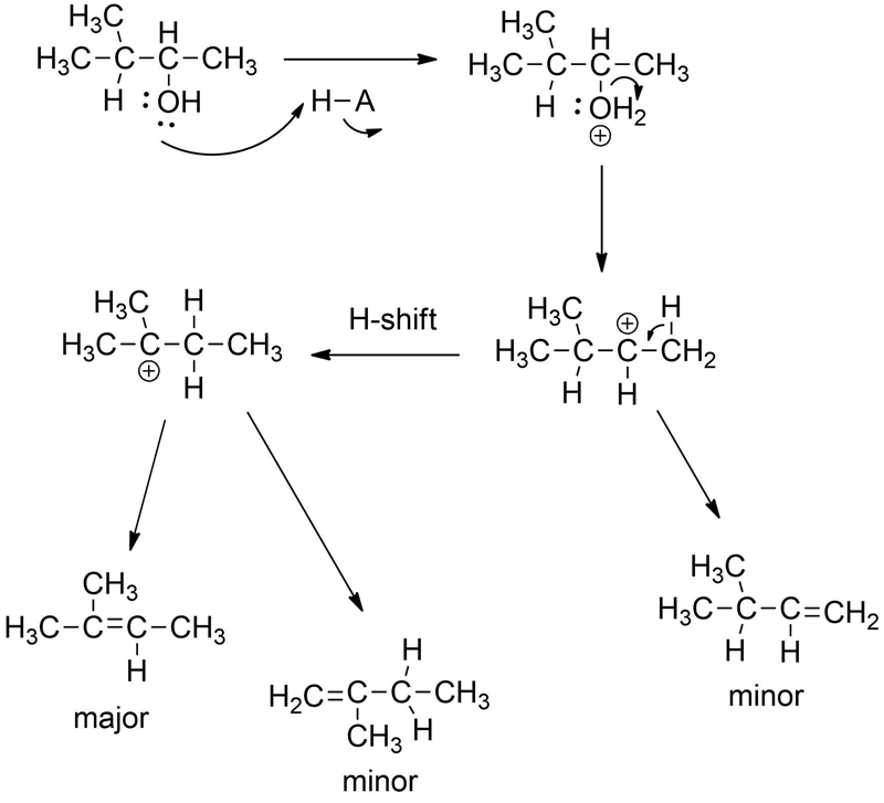 Acid-catalyzed dehydration of secondary and tertiary alcohols proceeds through an-example-1